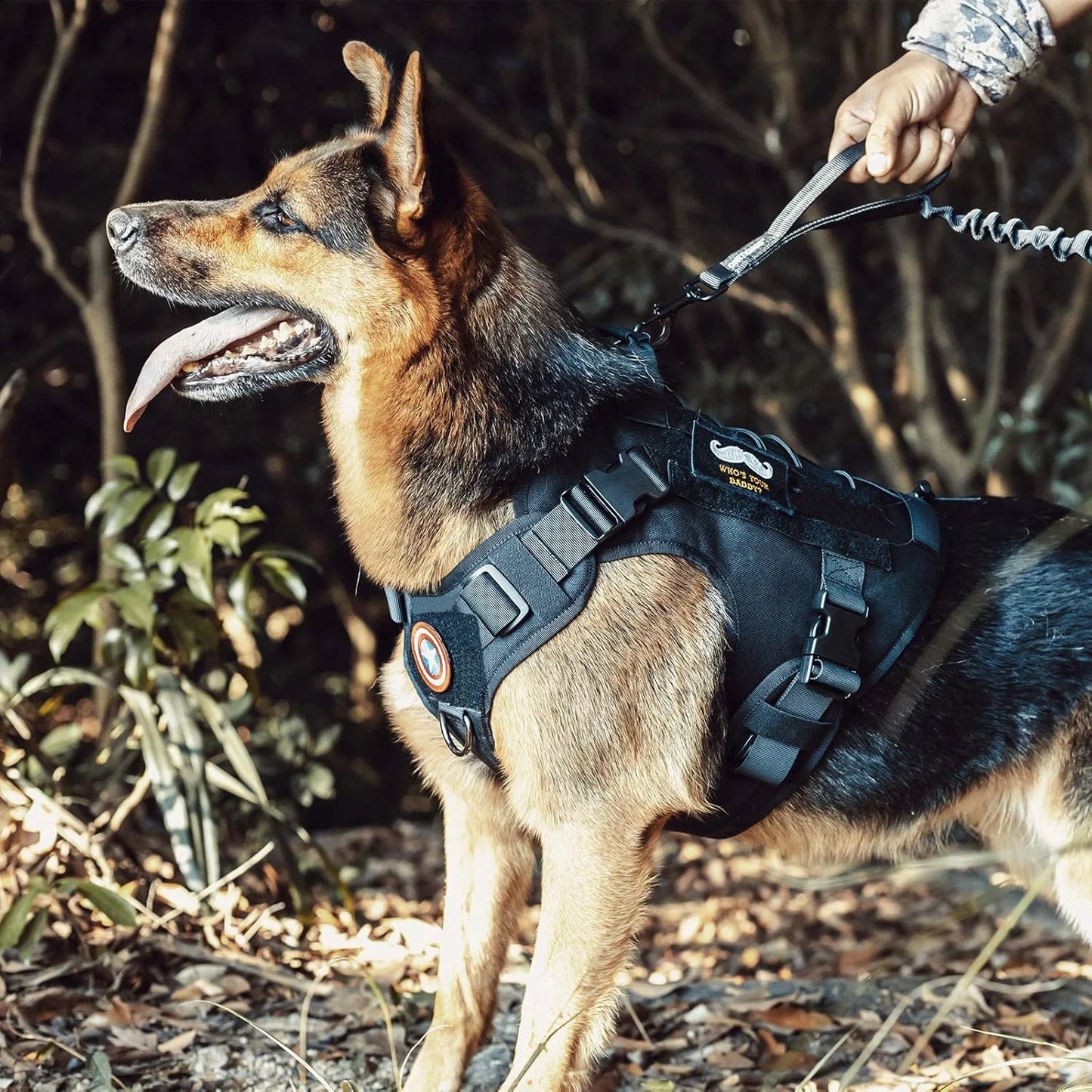 Tactical Service Dog Harness: No-Pull Vest with Hook & Loop Panels