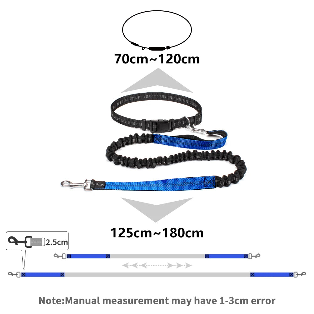 Hands-Free Dog Leash with Waist Belt - Adjustable Running & Jogging Lead