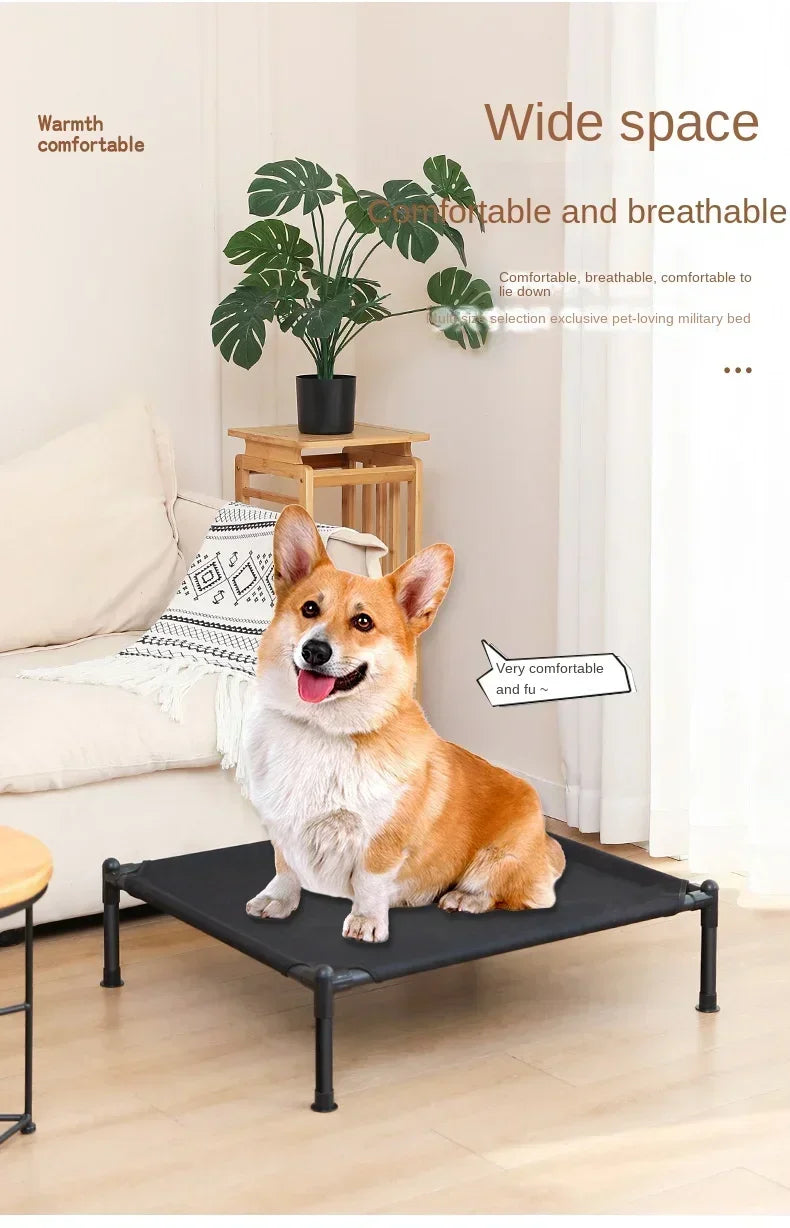 Folding Elevated Pet Bed, Portable Camping Dog & Cat Cot