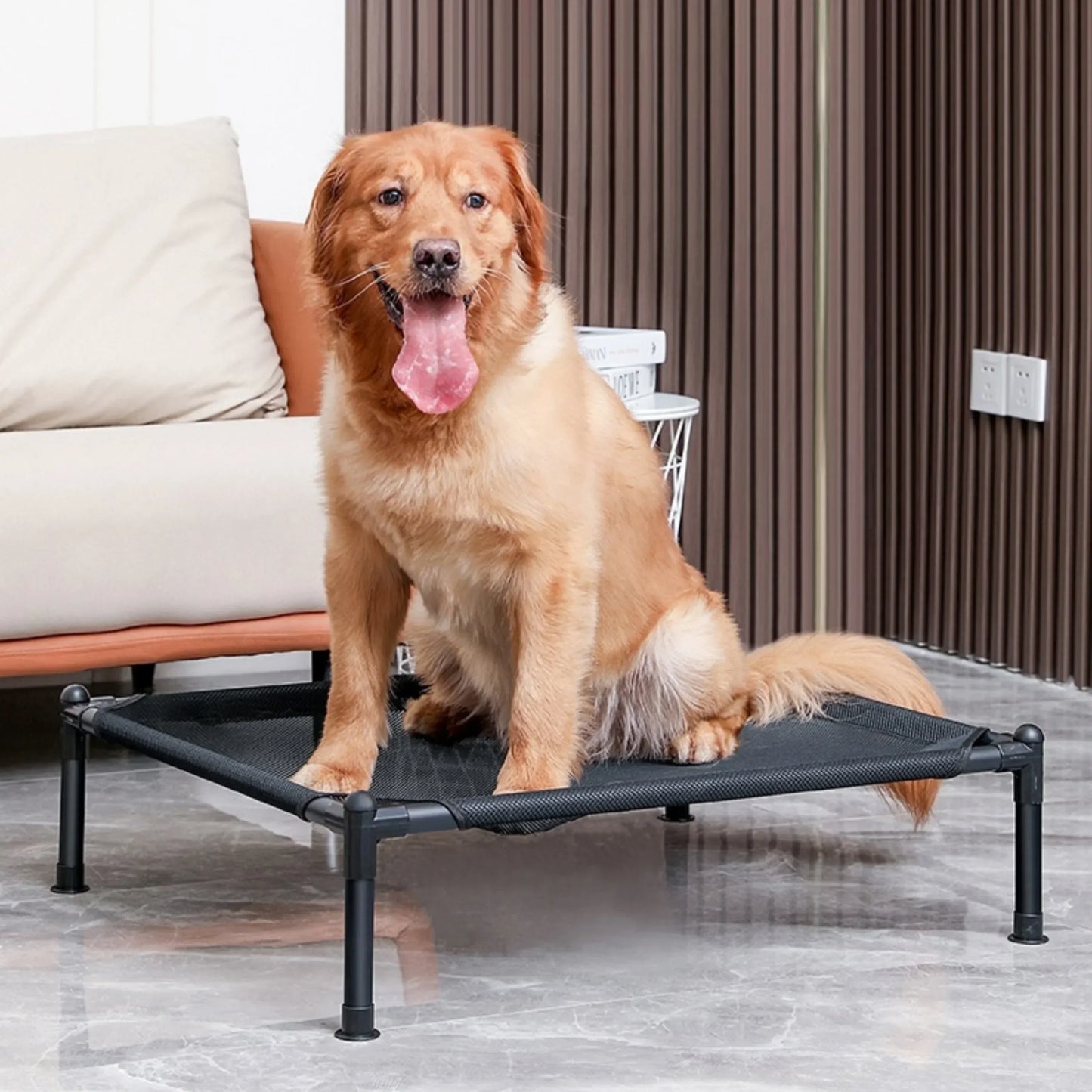 Folding Elevated Pet Bed, Portable Camping Dog & Cat Cot