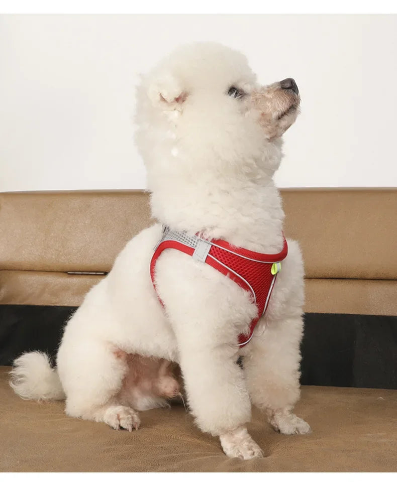 Dog Harness and Leash Set: Adjustable No-Choke Vest for Small Dogs & Cats