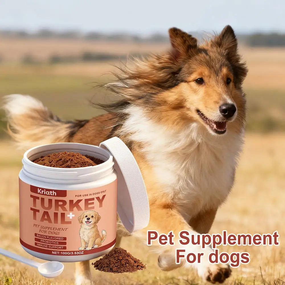 100g Dog Immune Support Powder – Daily Immunity Defense & Wellness Supplement