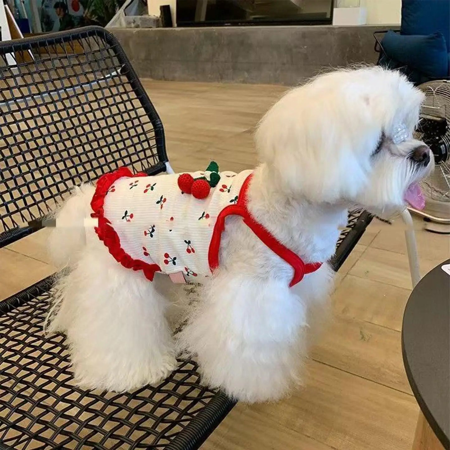 Cherry Print Pet Vest – Breathable Summer Cat & Small Dog Clothing
