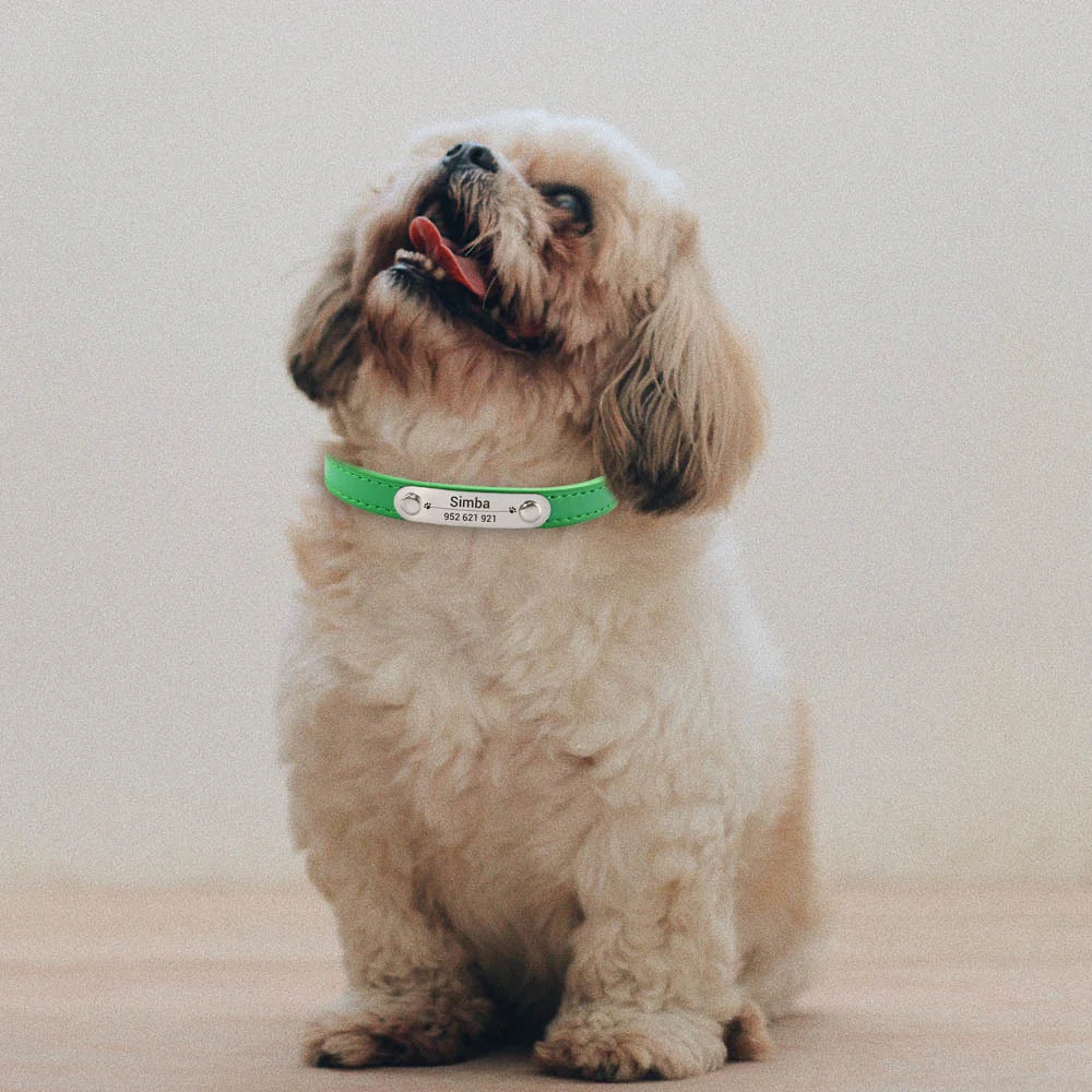 Personalized Leather Dog Collar: Custom Carved Name ID & Anti-Lost Design