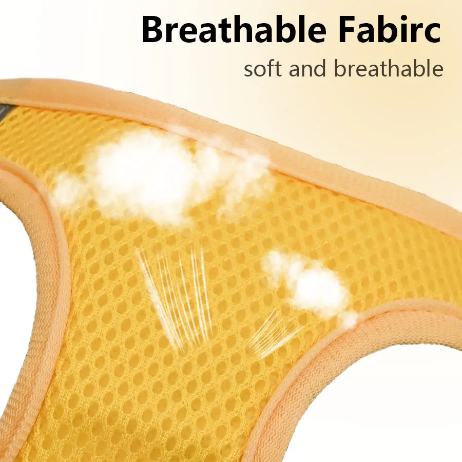 DH009 Cartoon Dog Harness and Leash Set: Breathable Honeycomb Mesh Vest