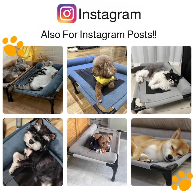 Elevated Pet Floor-Off Bed | Breathable Mesh Waterproof Dog Cot
