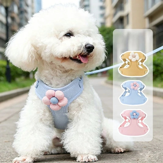 Small Dog Harness and 1.5m Leash Set: Adjustable Step-In Vest