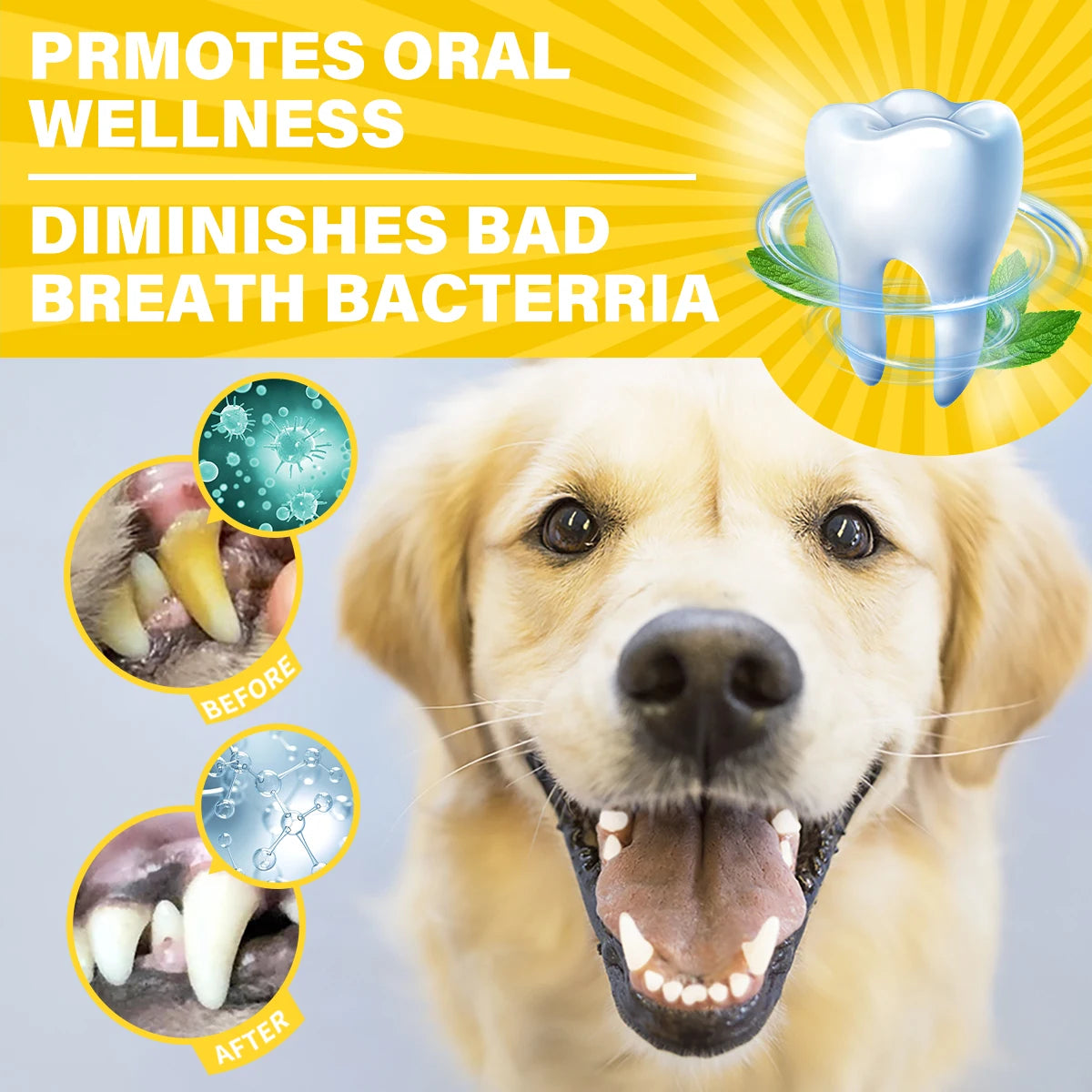 Dog & Cat Dental Care Kit - Fresh Milk Toothpaste & Deep Clean Toothbrush