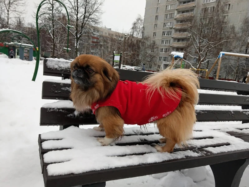 Winter Fleece Dog Jacket with Harness D-Ring - Warm Step-In Vest for Small Dogs