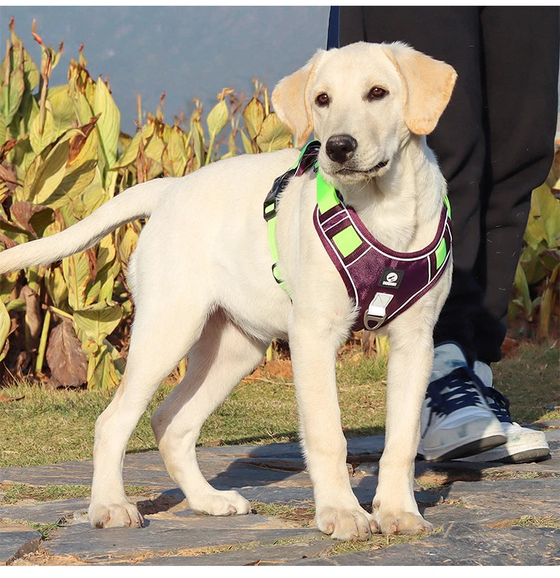 Heavy-Duty Oxford Dog Harness: Reflective Training Vest for Medium & Large Breeds