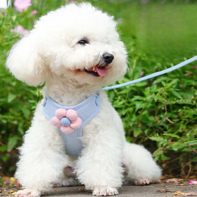 Small Dog Harness and 1.5m Leash Set: Adjustable Step-In Vest