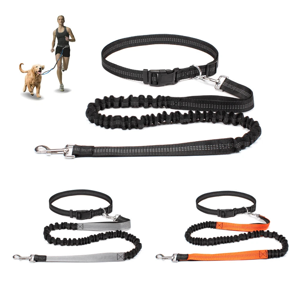 Hands-Free Dog Leash with Waist Belt - Adjustable Running & Jogging Lead