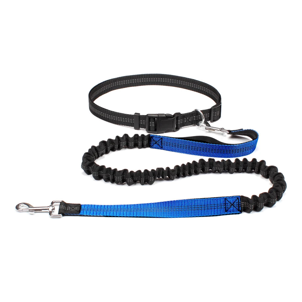 Hands-Free Dog Leash with Waist Belt - Adjustable Running & Jogging Lead