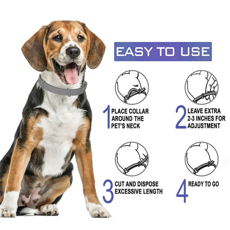 Adjustable Pet Collar for Dogs & Cats: 38cm and 72cm Sizes