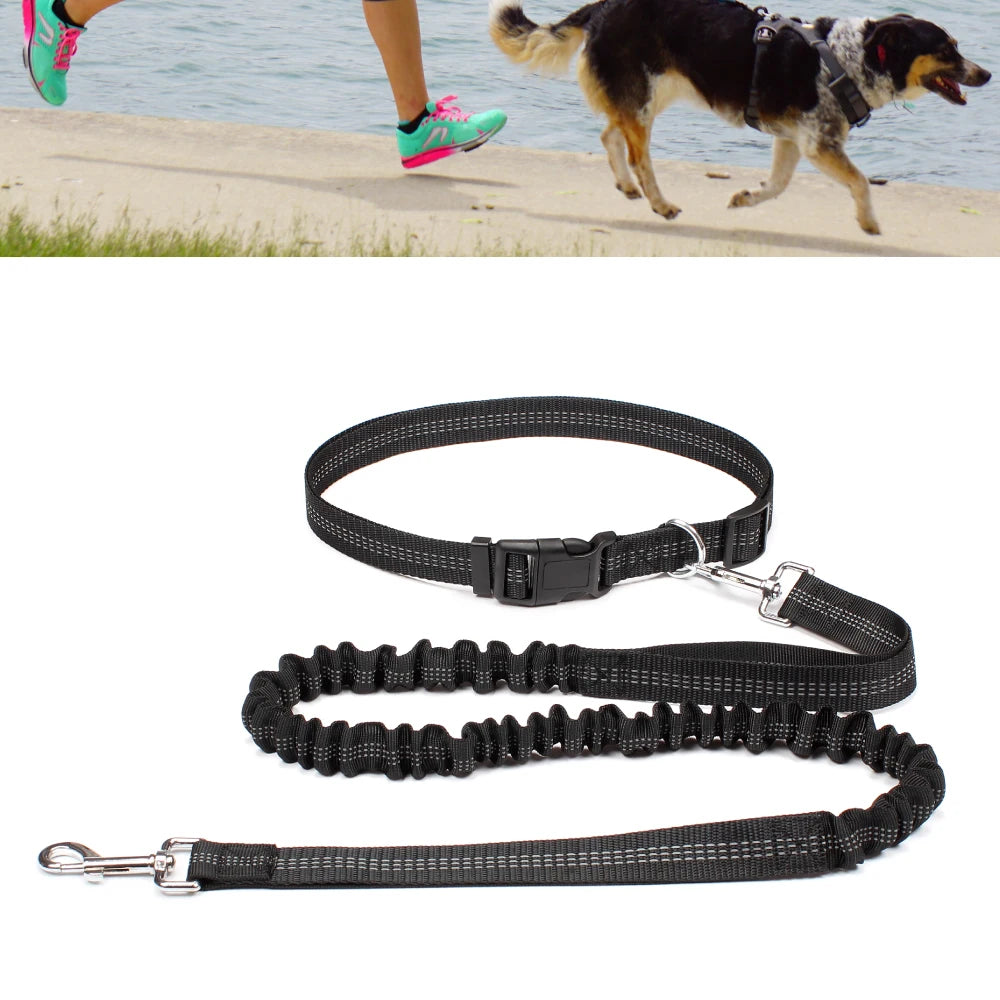 Hands-Free Dog Leash with Waist Belt - Adjustable Running & Jogging Lead
