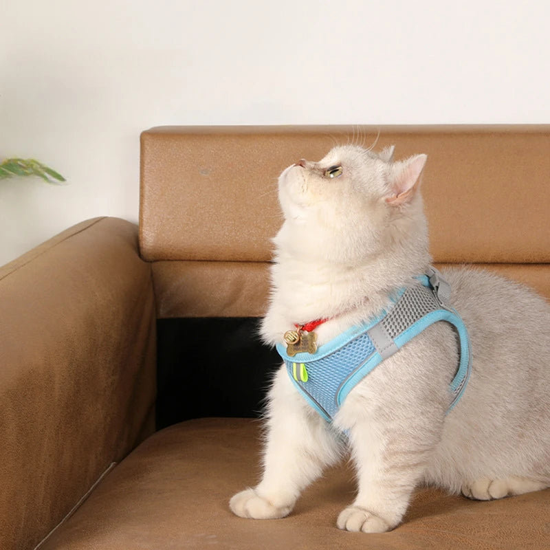 Dog Harness and Leash Set: Adjustable No-Choke Vest for Small Dogs & Cats