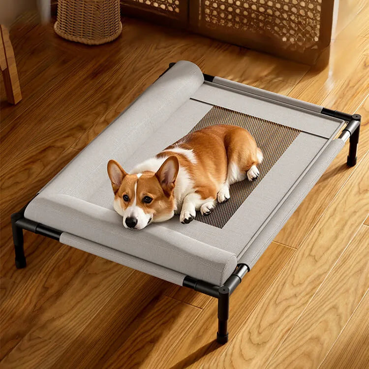 Elevated Pet Floor-Off Bed | Breathable Mesh Waterproof Dog Cot