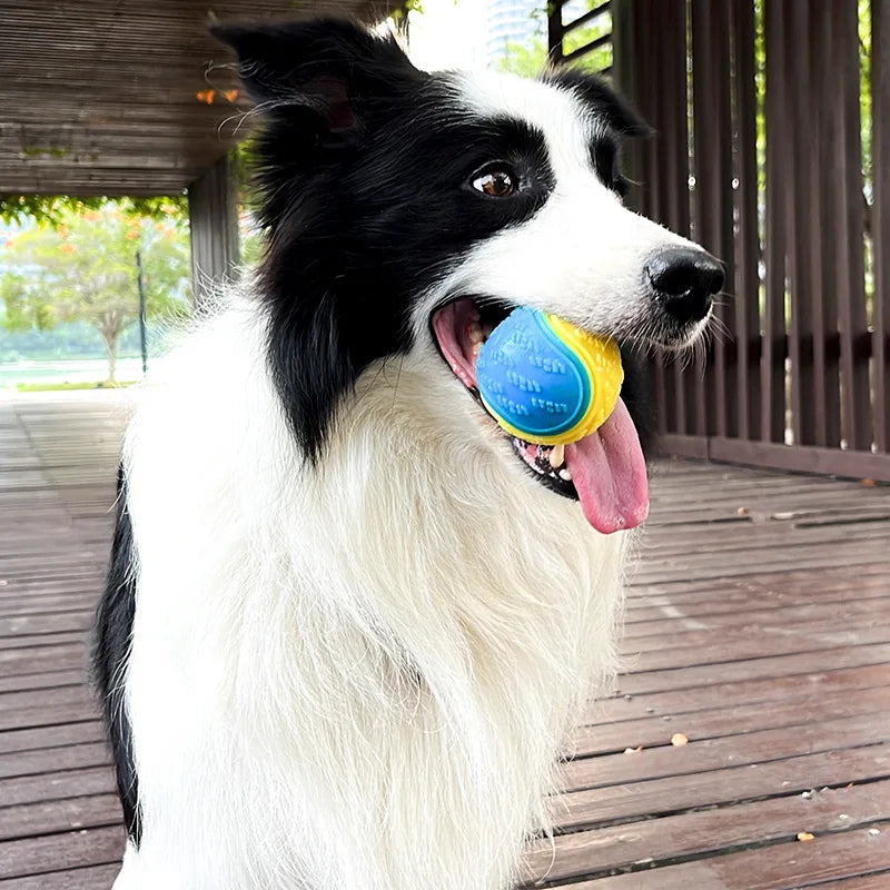 Interactive Squeaky Dog Ball - Soft TPR Teeth Cleaning Toy