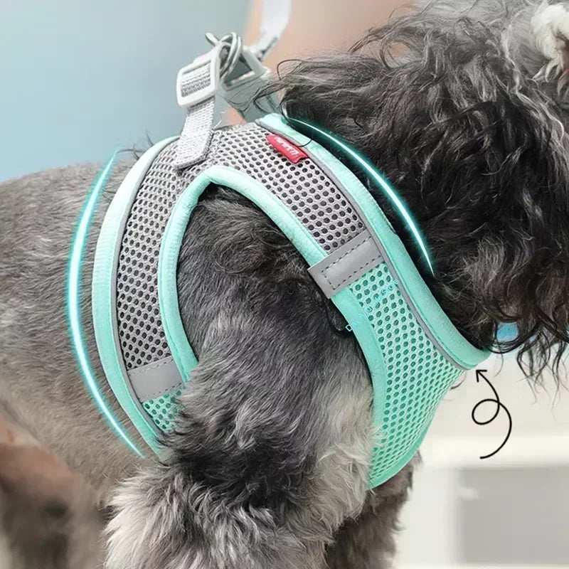 Dog Harness and Leash Set: Adjustable No-Choke Vest for Small Dogs & Cats