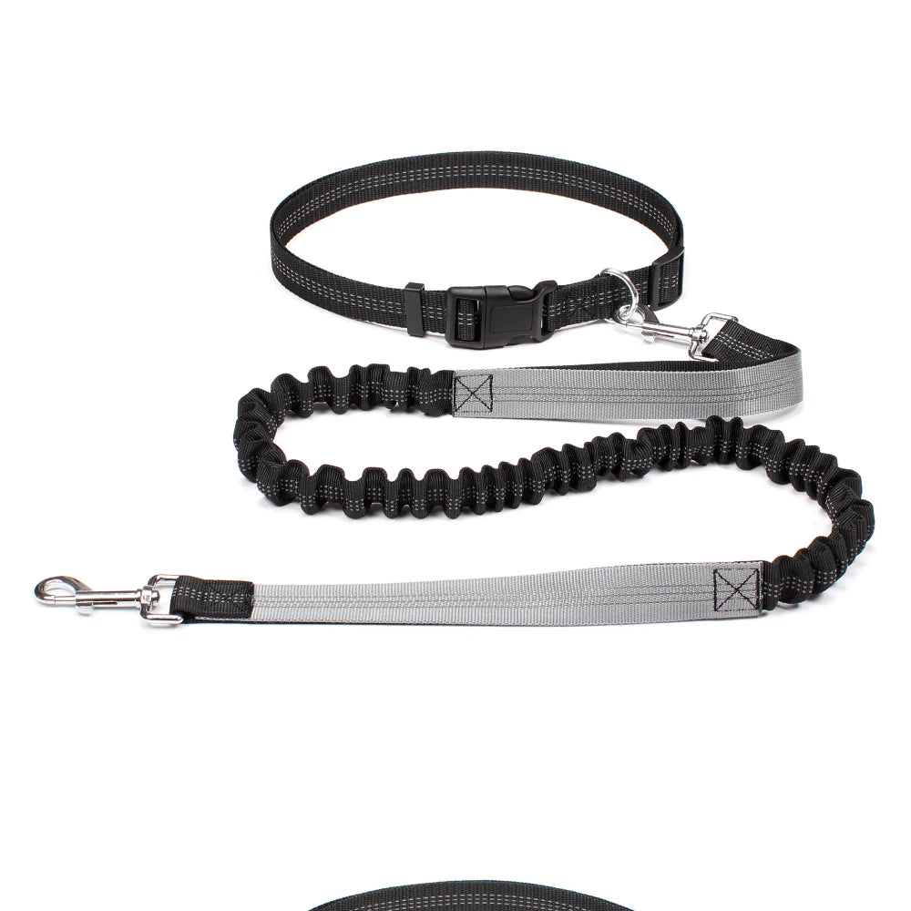 Hands-Free Dog Leash with Waist Belt - Adjustable Running & Jogging Lead
