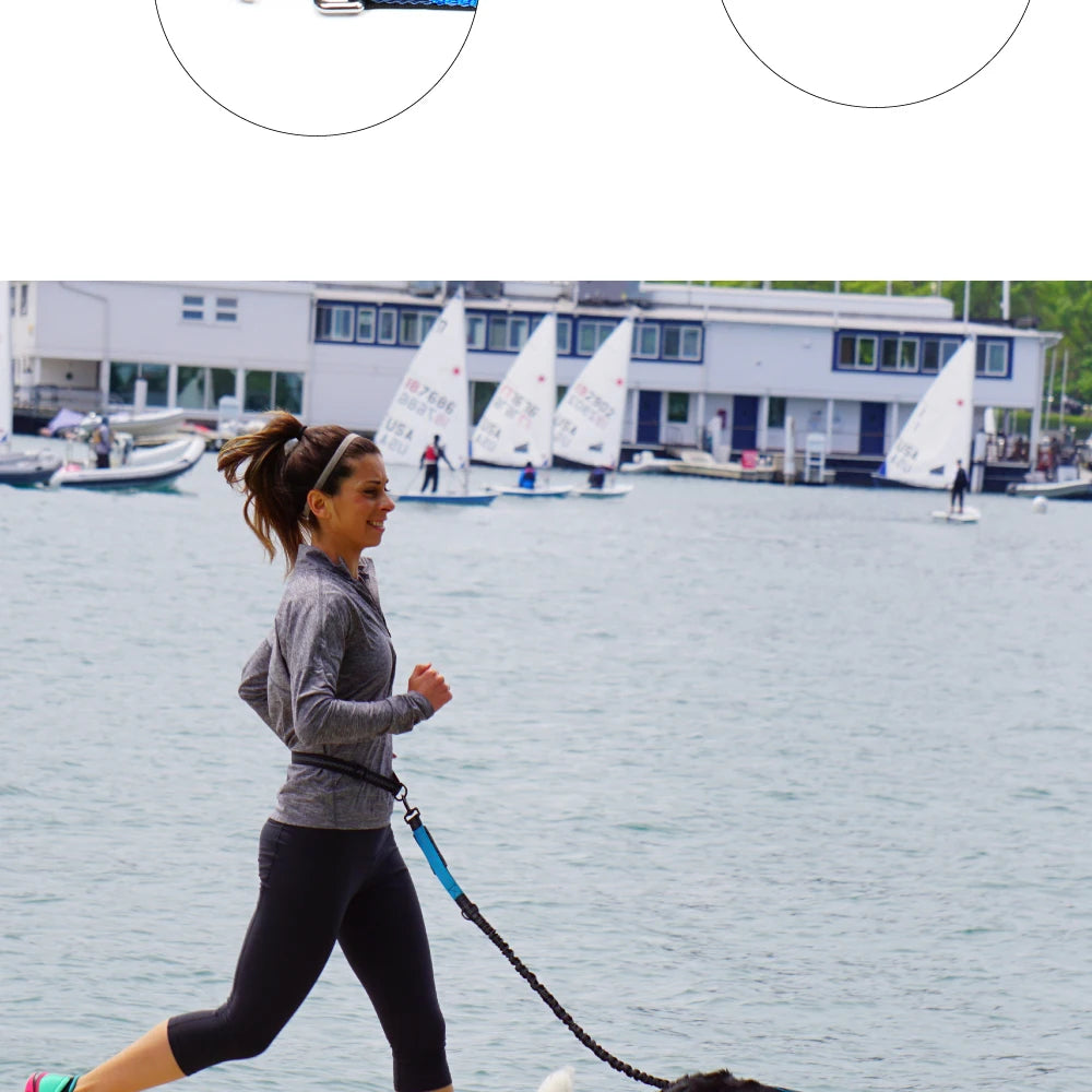 Hands-Free Dog Leash with Waist Belt - Adjustable Running & Jogging Lead