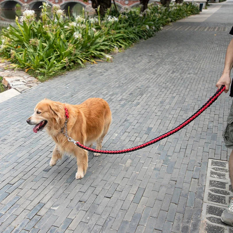 4.5ft Heavy Duty Braided Dog Leash - Durable Nylon Lead for All Sizes