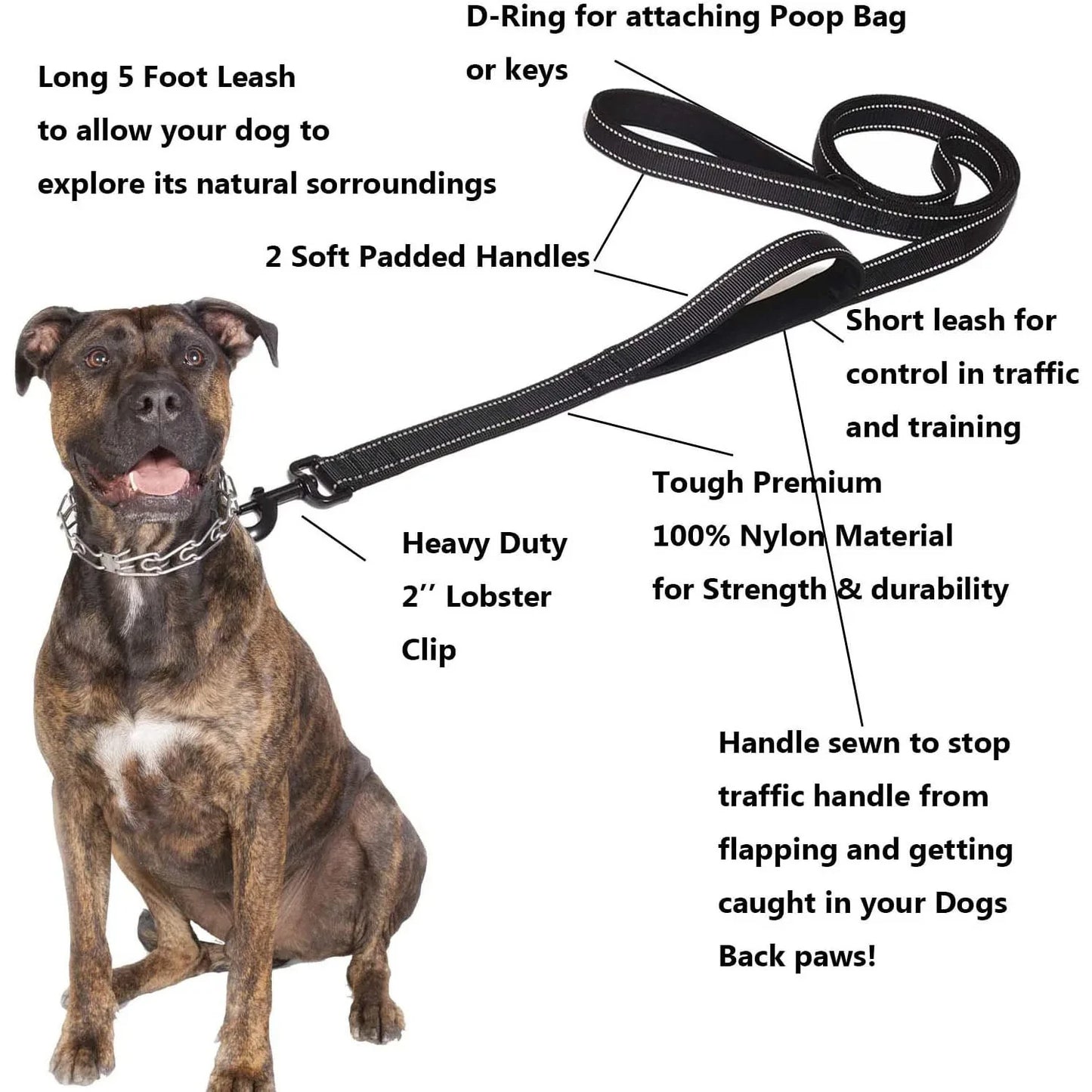 Double Handle Outdoor Travel Dog Leash - Heavy Duty Training Lead