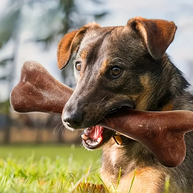 Beef-Flavored Bone Dog Toy - Durable Interactive Dental Chew