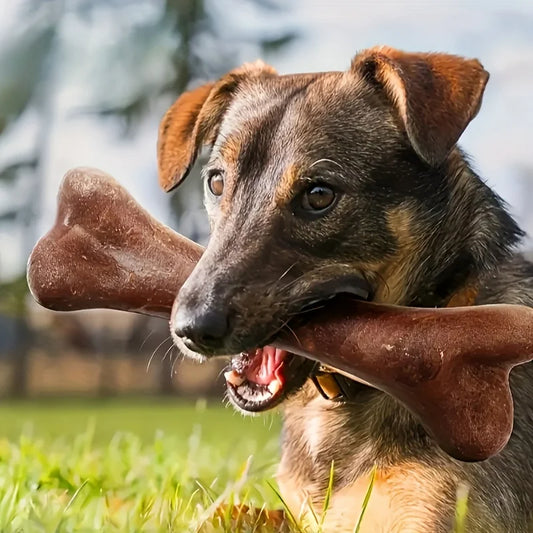Beef-Flavored Bone Dog Toy - Durable Interactive Dental Chew