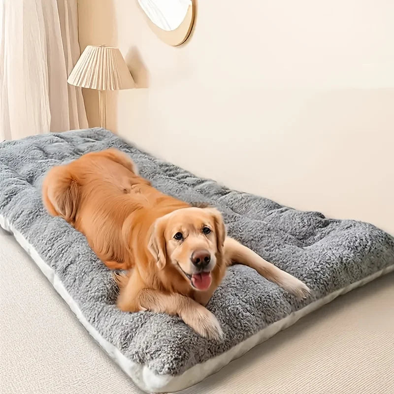 The Cozy Orthopedic Memory Foam Sofa Bed