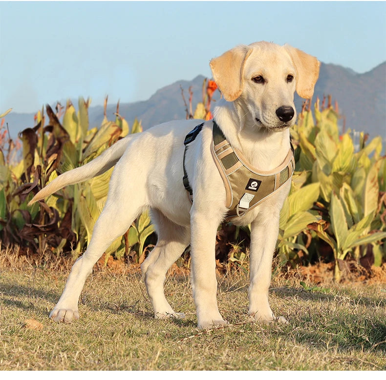 Heavy-Duty Oxford Dog Harness: Reflective Training Vest for Medium & Large Breeds