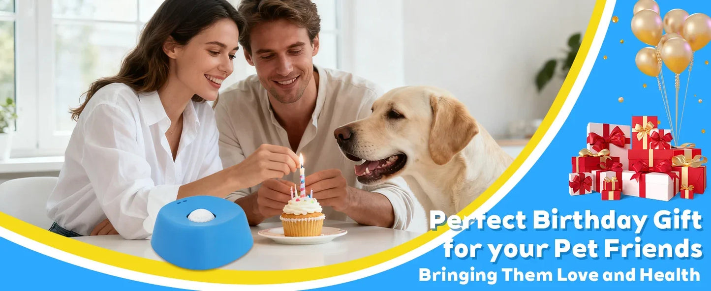 Liquid Slow Feeder Dog Bowl - Ball-Shaped Bone Soup Licking Dish