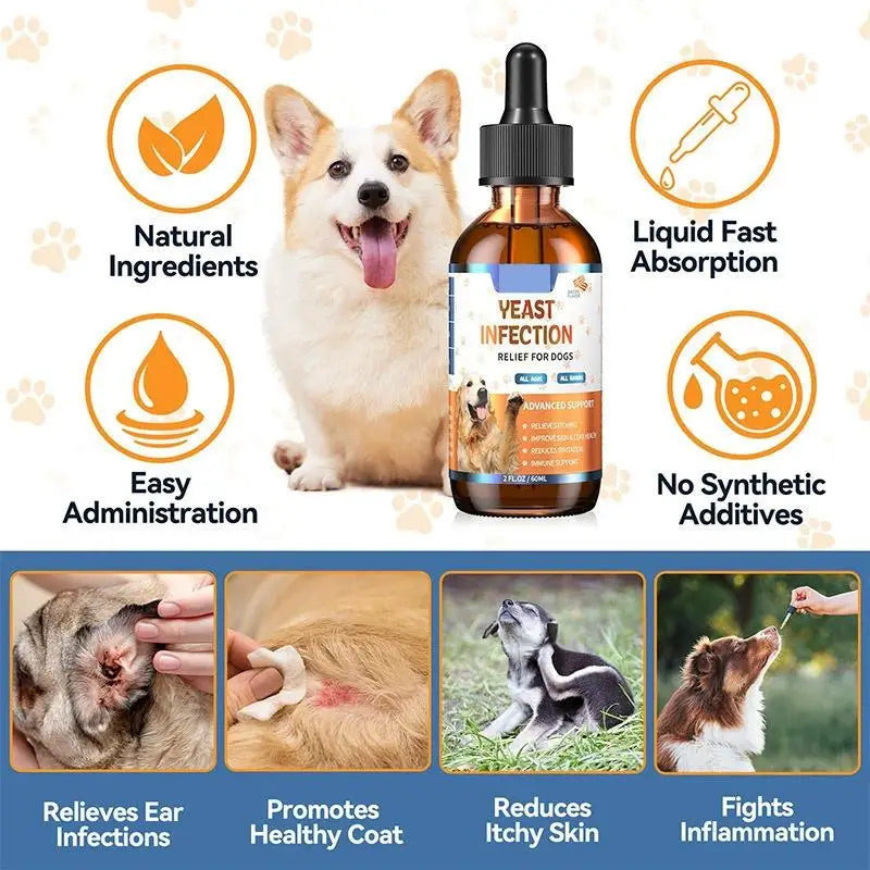 60ML Herbal Pet Skin & Coat Drops – Gentle Care Supplement for Dogs