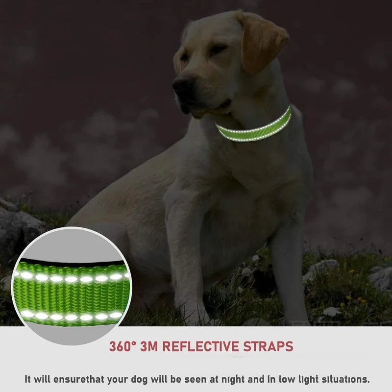 GXQ07 Choker Dog Collar: Decorative Adjustable Neckband for All Breeds
