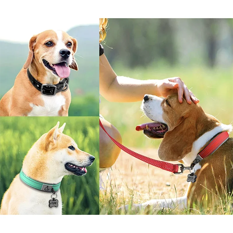 Reflective Padded Dog Collar - Heavy Duty Nylon & Neoprene