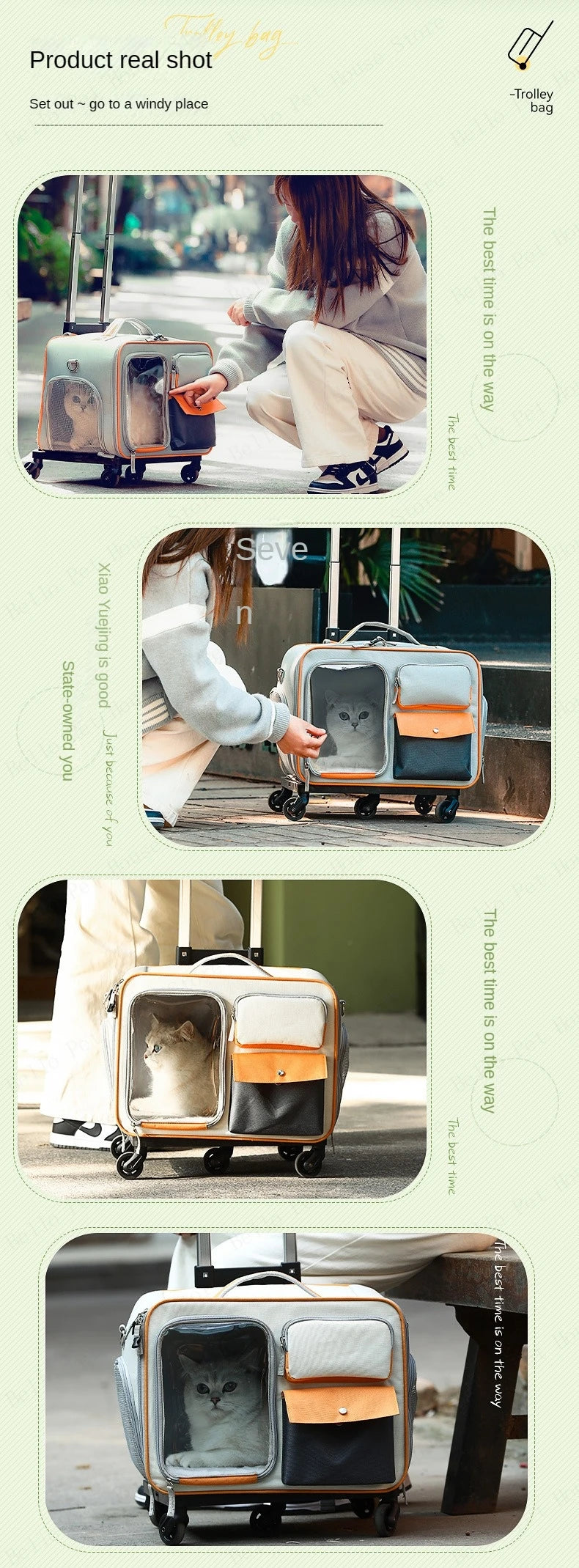 Rolling Pet Carrier Backpack – Detachable Cat & Dog Trolley Travel Bag for Small Pets