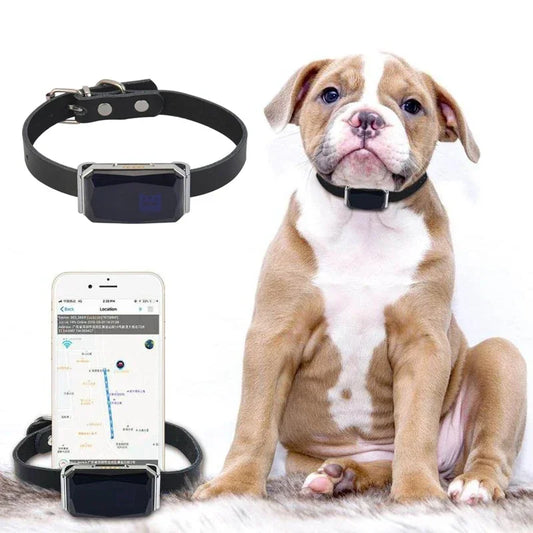 IP67 Waterproof GPS Pet Tracker – WiFi Smart Collar Locator with LED Light for Dogs & Cats