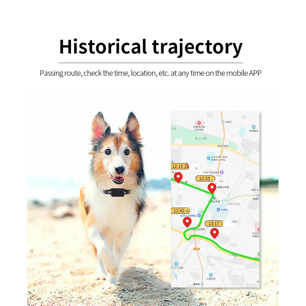 Waterproof GPS Pet Tracker Collar – Real-Time GSM & AGPS Locator for Dogs & Cats