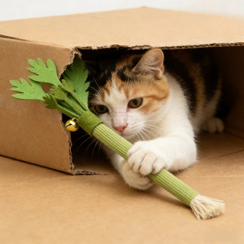 Catnip Cat Chew Toy – Interactive Teeth Cleaning Molar Stick for Cats & Kittens