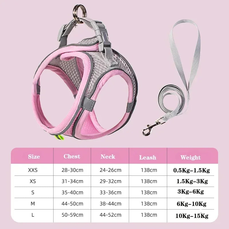 Dog Harness and Leash Set: Adjustable No-Choke Vest for Small Dogs & Cats