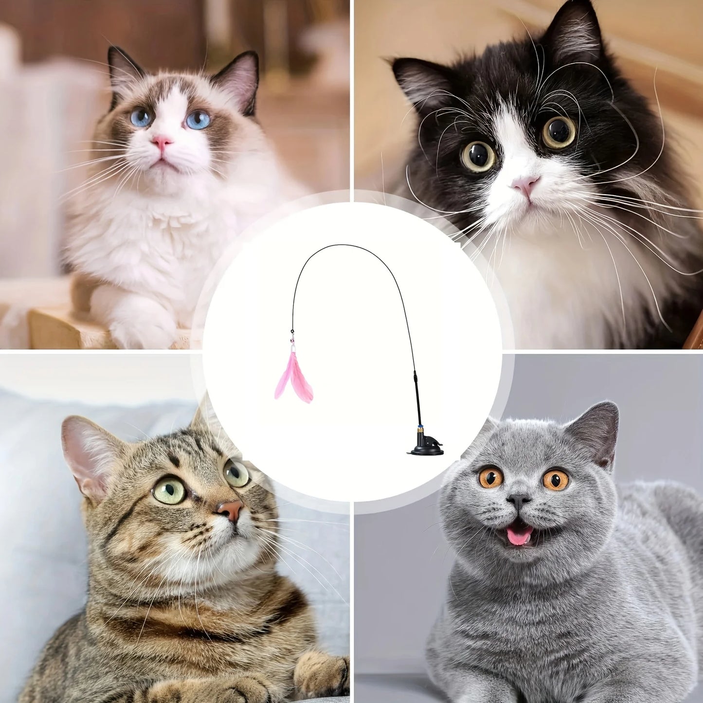 Interactive Cat Teaser Toy – Feather Wand with Bell & Suction Cup for Indoor Cats