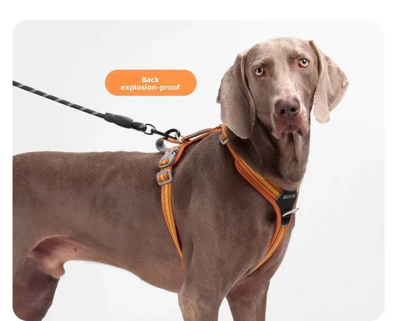 Car Safety Dog Harness: No-Pull, Reflective & Adjustable
