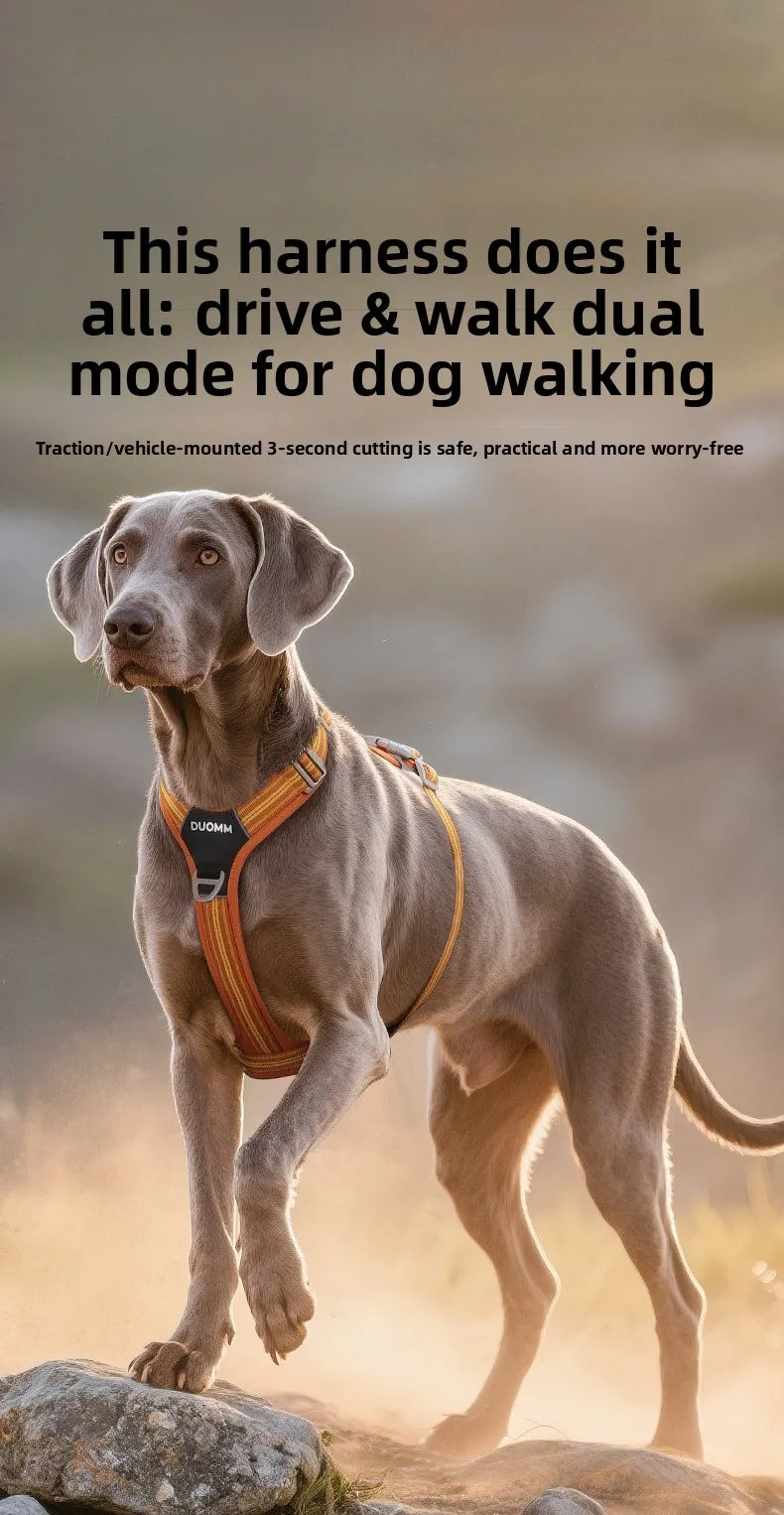 Car Safety Dog Harness: No-Pull, Reflective & Adjustable