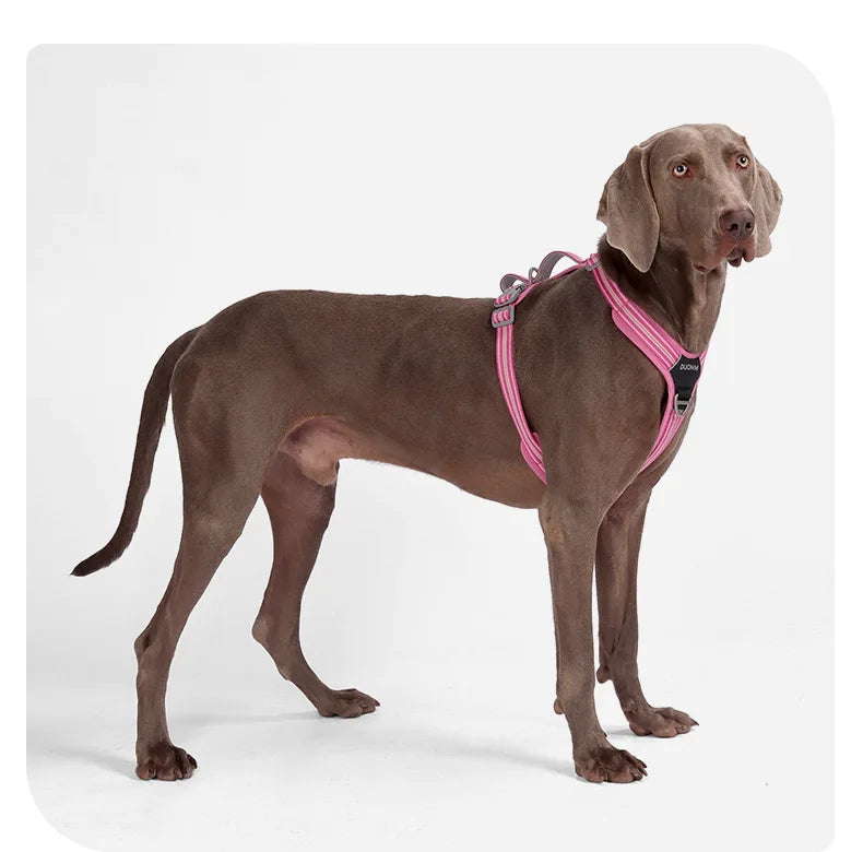 Car Safety Dog Harness: No-Pull, Reflective & Adjustable
