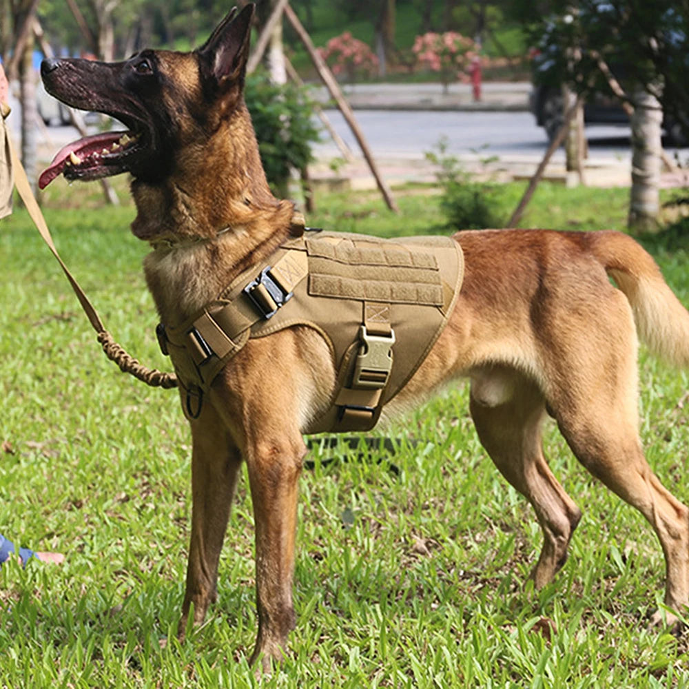 Military Tactical Dog Harness: Heavy-Duty Training Vest for German Shepherds