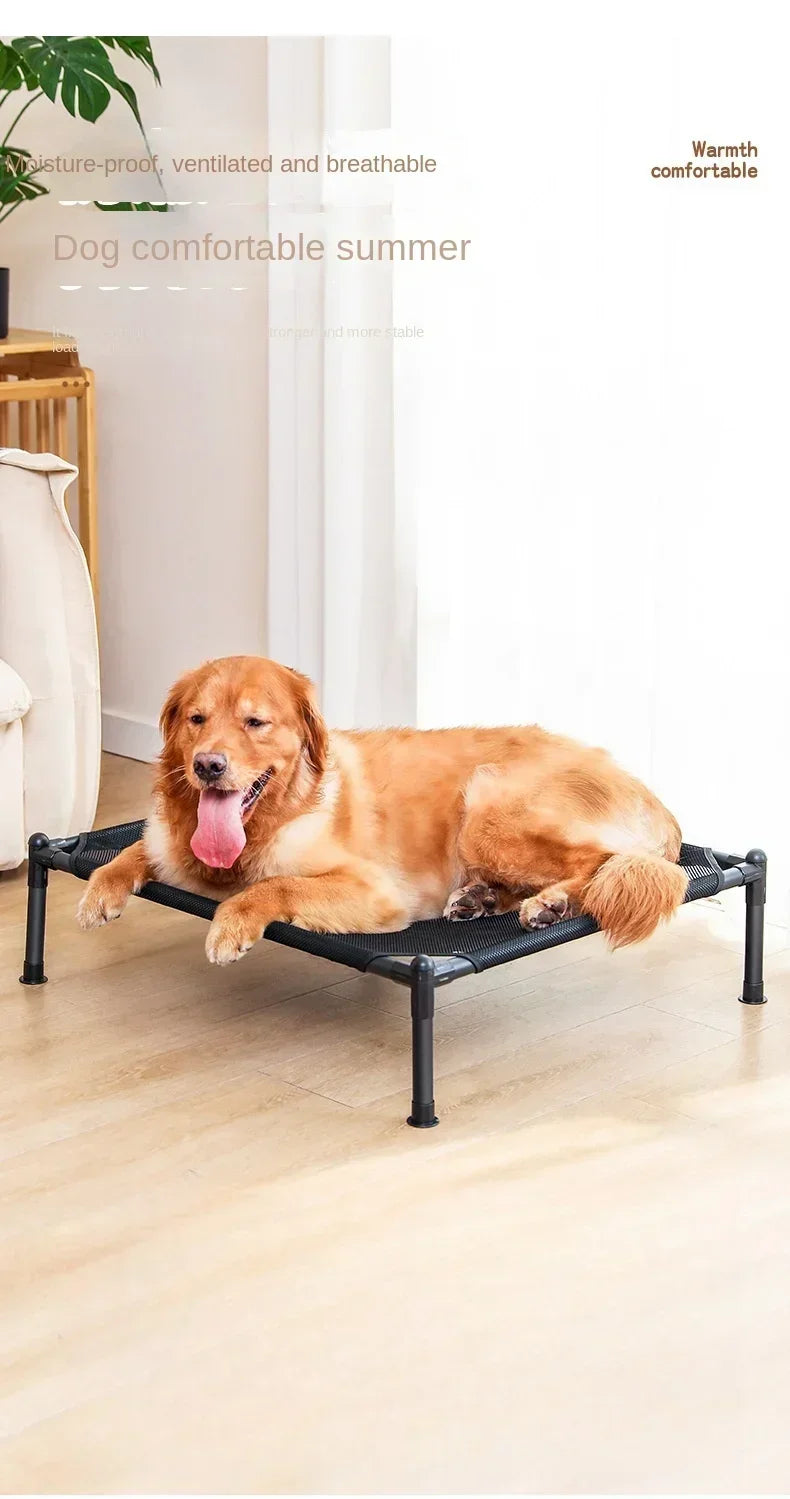 Folding Elevated Pet Bed, Portable Camping Dog & Cat Cot