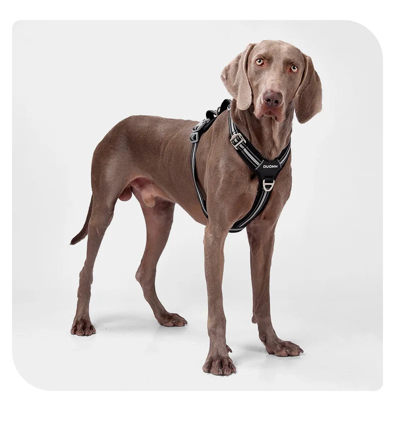 Car Safety Dog Harness: No-Pull, Reflective & Adjustable