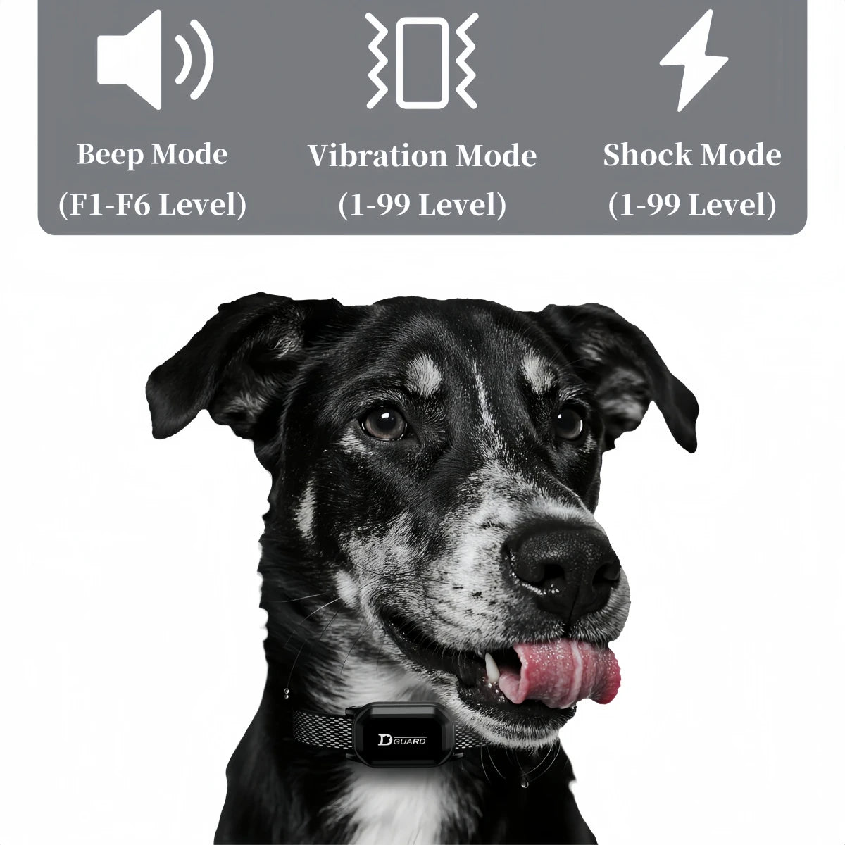 800M Dog Training Collar – Waterproof Rechargeable Remote Trainer with LCD Display