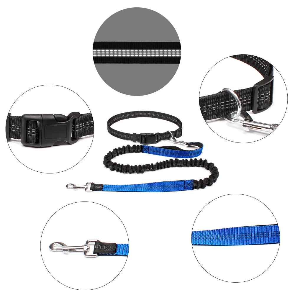 Hands-Free Dog Leash with Waist Belt - Adjustable Running & Jogging Lead
