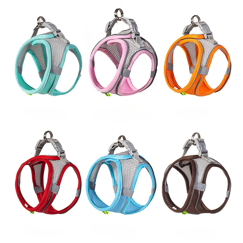 Dog Harness and Leash Set: Adjustable No-Choke Vest for Small Dogs & Cats